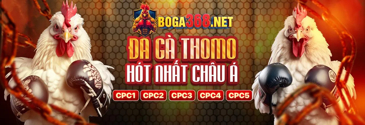 Đá gà trực tuyến Kuwin02
